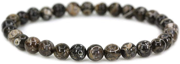 Natural Cowry Fossil Gemstone 6mm Round Beads Stretch Bracelet 6.5inch Unisex