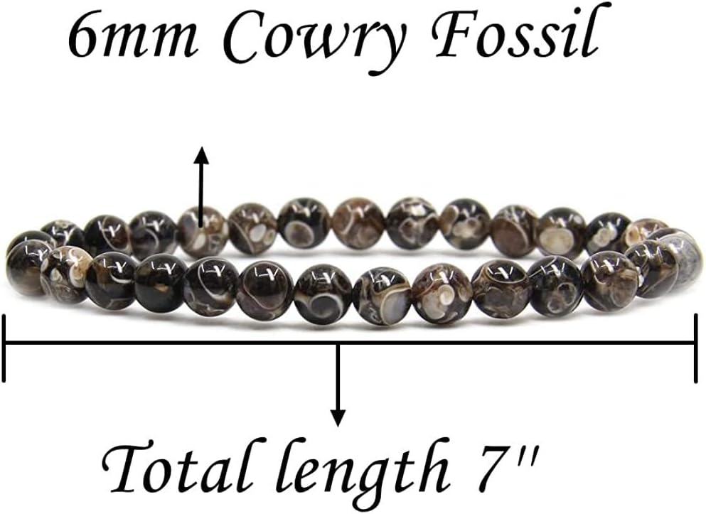Natural Cowry Fossil Gemstone 6mm Round Beads Stretch Bracelet 6.5inch Unisex