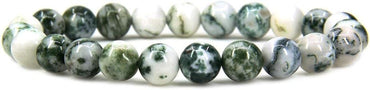 Natural Tree Agate Gemstone 8mm Round Beads Stretch Bracelet 7inch Unisex