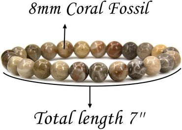 Natural Coral Fossil Gemstone 8mm Round Beads Stretch Bracelet 7inch Unisex