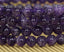 Natural African Amethyst Gemstone 6mm Round Beads Stretch Bracelet 7inch Unisex