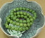 Natural A Grade Canadian Nephrite Jade Gemstone 10mm Round Beads Stretch Bracelet 7inch Unisex