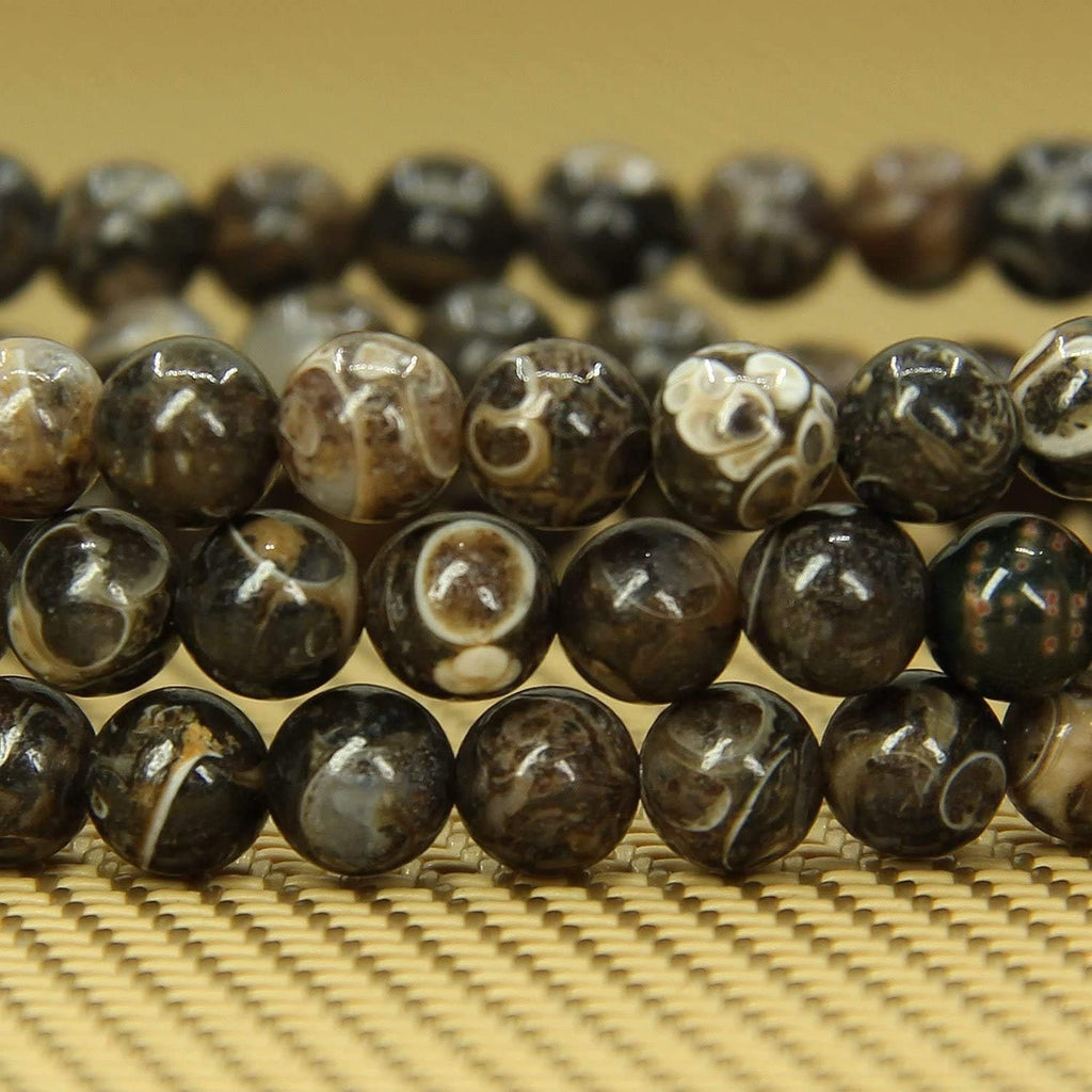Natural Cowry Fossil Gemstone 6mm Round Beads Stretch Bracelet 6.5inch Unisex