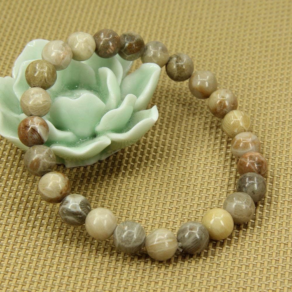 Natural Coral Fossil Gemstone 8mm Round Beads Stretch Bracelet 7inch Unisex