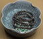Natural Cowry Fossil Gemstone 6mm Round Beads Stretch Bracelet 6.5inch Unisex