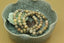 Natural Coral Fossil Gemstone 8mm Round Beads Stretch Bracelet 7inch Unisex