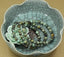 Natural African Turquoise Gemstone 6mm Round Beads Stretch Bracelet 7inch Unisex