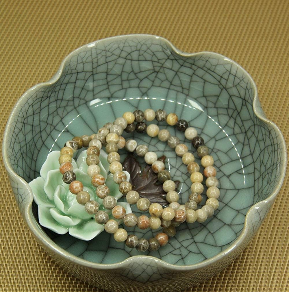 Angelstones Natural Coral Fossil Gemstone 6mm Round Beads Stretch Bracelet 7inch Unisex